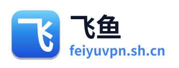 飞鱼加速器 Logo